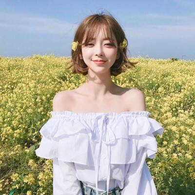 神奇宝贝bt果盘满v版下载